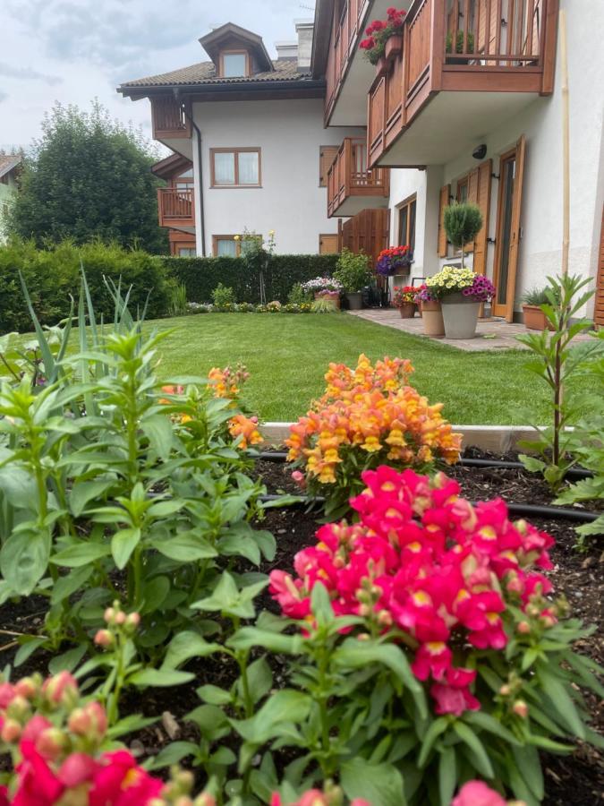 Casa Beba - Agenzia Dolomiti Affitti Lejlighed Cavalese Eksteriør billede